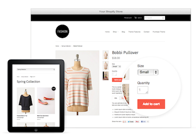 Example of a Shopify Store