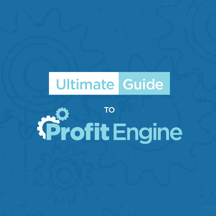 Ultimate Guide to Profit Engine