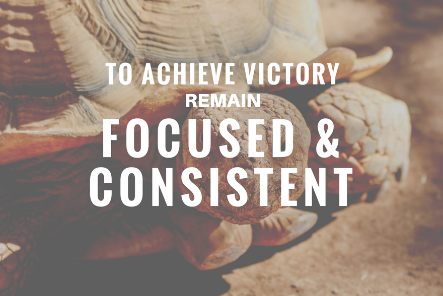 Achieve victory with focus and consistency.